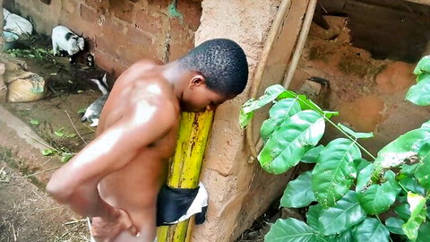 Ebony man nude, bent over yellow pole in solo outdoor scene