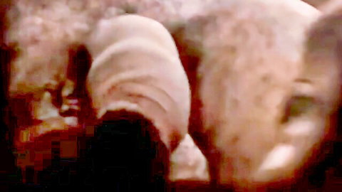 Amateur black guy strips and masturbates his hard cock close-up