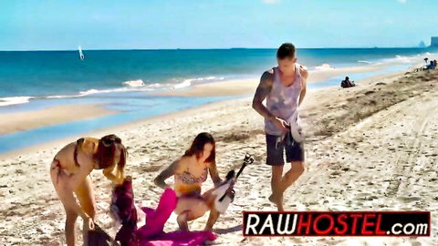 Busty Felicity Feline in sexy bikini on sunny beach with friends and playful dogs