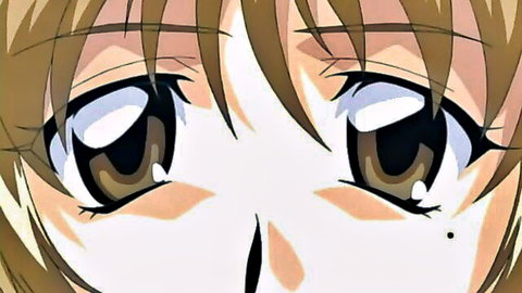 Close-up of seductive anime girl's brown eyes in Shin Kyouhaku 2 hentai episode