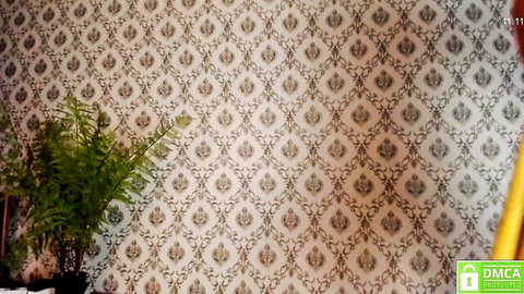 Ornate beige wallpapered room with green fern plant and yellow stand in empty webcam setup