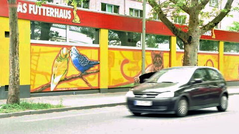 Pet store facade with colorful bird murals and passing car on street