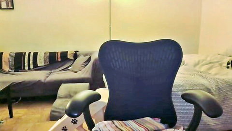 Empty webcam room with black office chair, gray couch, and paw print blankets in cozy home setup