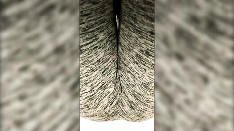 Rin Fart Japanese ass close-up in fart fetish video