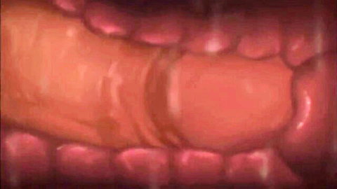 Close-up of glossy pink mouth interior with white teeth and saliva-covered gums during oral tease