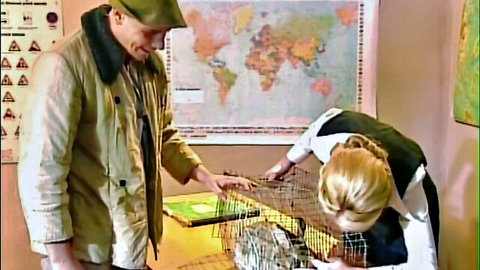 Blonde science teacher in uniform bends over bird cage with male colleague