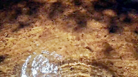 Close-up of rippling brownish water surface in outdoor pool scene