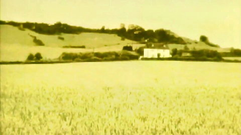 Vast yellow wheat fields with rolling hills trees and distant white house in countryside