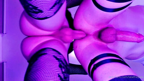 Trans babe in purple fishnets spreads ass cheeks revealing hard pink cock