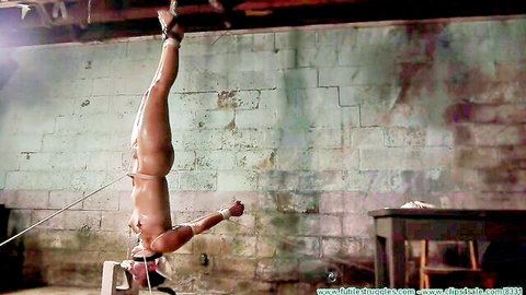 Naked woman hangs upside down in tight bondage ropes exposing tits and pussy in BDSM dungeon