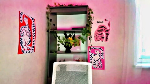 Empty pink bedroom with tiger wall art, plants, and white chair for sexy Asian webcam solo tease