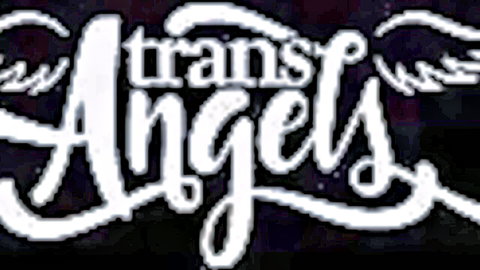 Trans Angels logo for Jessy Dubai glamour trans xxx video