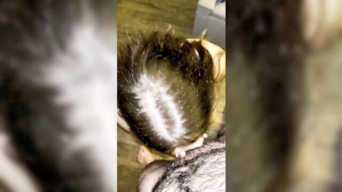 Curly-haired MILF deepthroating in amateur POV close-up