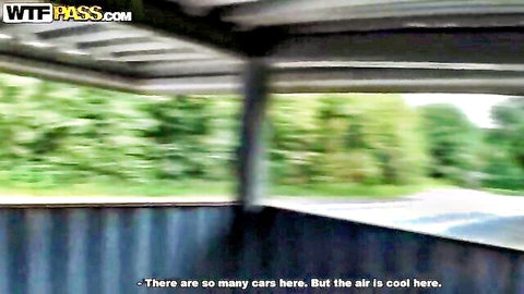 Amateur public car view of busy parking lot with many cars and green trees outside window