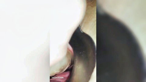Close-up urethral sounding rod insertion on erect penis