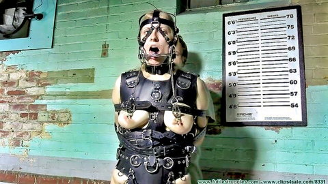 Loni bound in pony girl leather harness, exposed breasts in BDSM restraint