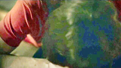Michaela Schausberger explicit blowjob scene in Zauberer (2018)