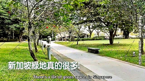Serene Singapore park path for outdoor sex vlog adventure