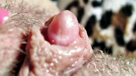 Closeup of wet pink pussy with visible clitoris, lesbian porn thumbnail