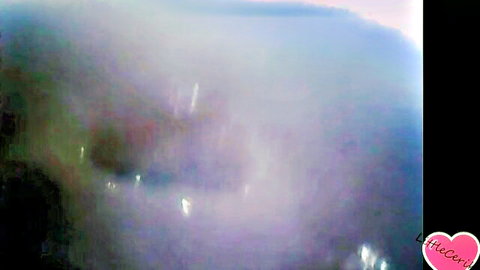 LittleCerika's close-up endoscope view inside her wet pussy