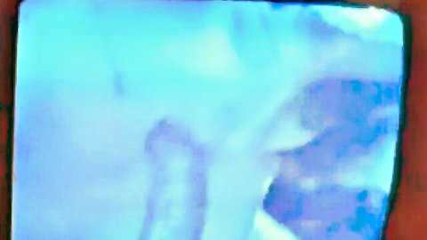 Vintage brunette with hairy pussy fucked doggy style by hairy guy