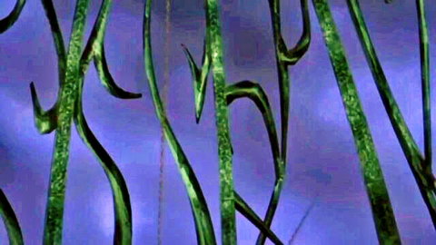 Shiny green tentacles twisting and curling against purple hentai background