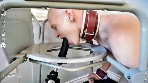 Rachel Greyhound bound in collar, enduring dildo training with fucking machine
