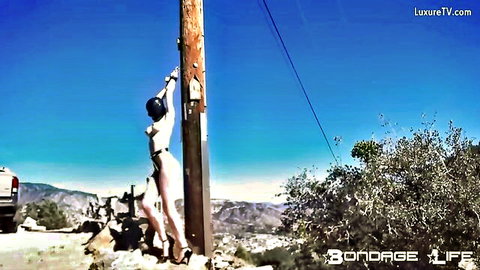 Rachel Greyhound nude outdoor bondage, embracing pole in chastity belt