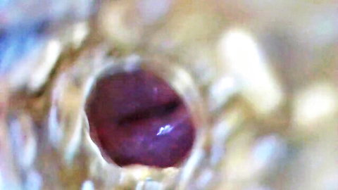 Bizarre close-up inside fleshlight sex toy with HD camera view