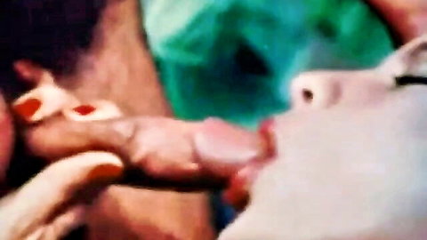 Nancy I. giving blowjob in classic porn close-up