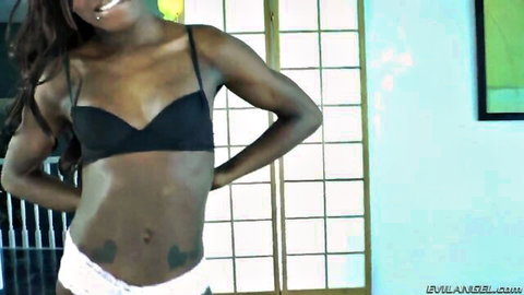 Ebony shemale Bambi Prescott posing in black bra and white panties