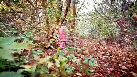 Indian desi bhabhi in pink outfit caught mingling in jungle outdoor tease