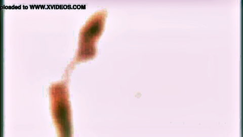 Monika Wild ebony anal gape and fisting in explicit squirt scene