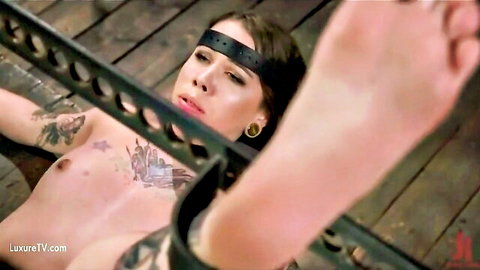 Tattooed woman bound in device for intense feet torture BDSM session