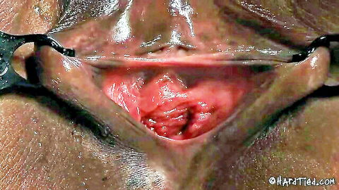 Close-up of woman's pink pussy spread wide open with clamps