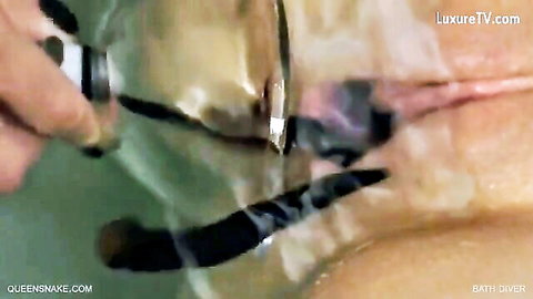 Queensnake extreme leech insertion in pussy bath scene
