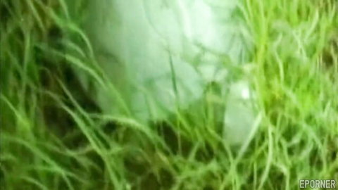 Vintage lesbians in hot outdoor sex amid lush grass