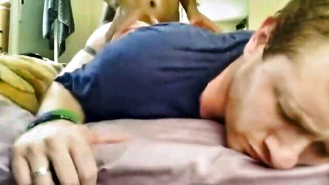 Amateur man relaxing in bed with dog nearby, casual pose