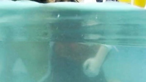 Blonde woman fucked doggy style underwater in pool with visible cock penetration