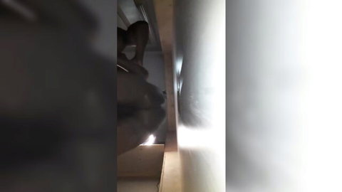 Amateur black MILF screwed on her back in explicit Texas thot video