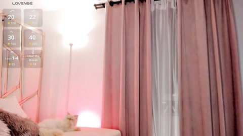 Kasumi_18 Latina camgirl bedroom preview with cat, big ass small tits show