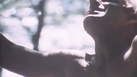 Vintage 1979 retro porn thumbnail: man in outdoor ecstasy close-up from Summer Heat