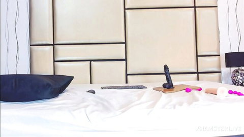 Bangla aunty's bedroom setup with black dildo and pink sex toys on bed for wild passion