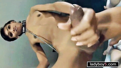 Asian ladyboy deepthroating thick cock in collar, intense oral action