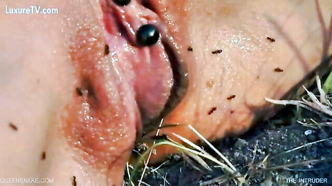 Close-up of exposed pussy with ants crawling on labia outdoors in extreme insect fetish scene