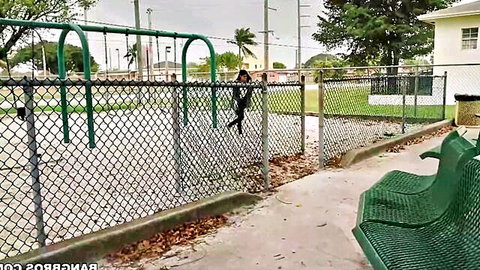 Busty ebony beauty teasing in tight leggings at outdoor playground