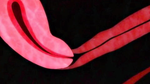 Hentai anime girl with tentacles shoved into pink pussy in monster sex scene