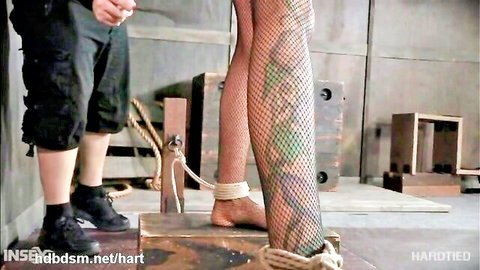 Busty blonde with tattooed legs bound in harsh BDSM ropes and stockings