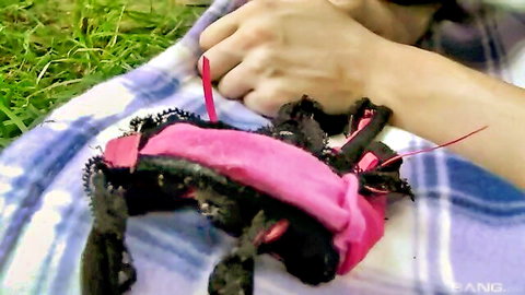 Hand holding torn pink black lace crotchless panties on outdoor purple blanket on grass