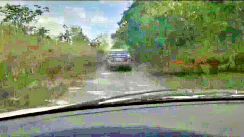 Car splashing through shallow swamp water on dirt road amid green vegetation